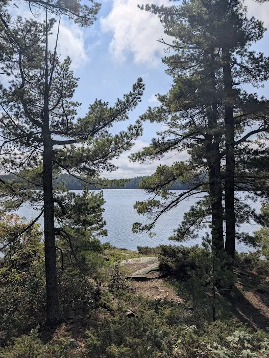 Peterson Point K25 Campsite Picture 9