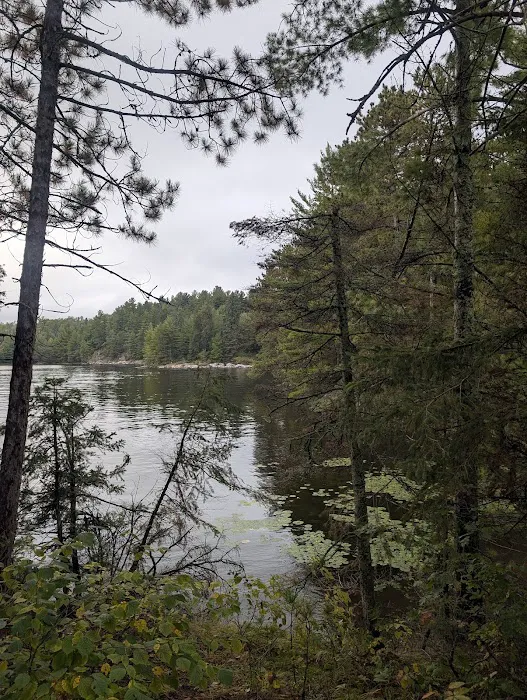 Peterson Point K25 Campsite Picture 10