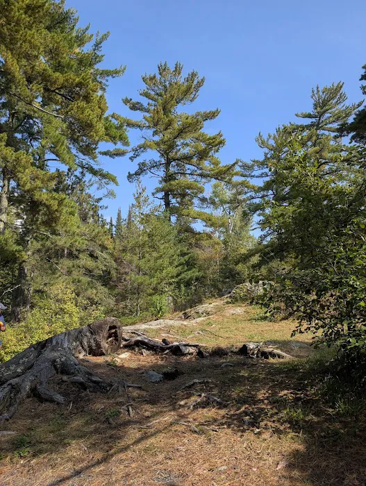 Peterson Point K25 Campsite Picture 4