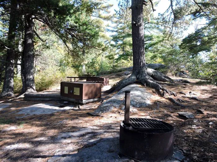 Peterson Point K25 Campsite Picture 6
