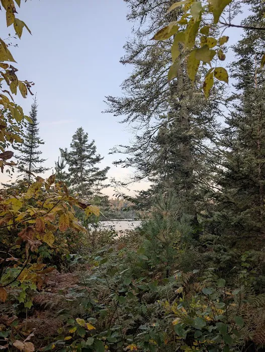 Old Dutch Bay N29 Campsite Picture 10