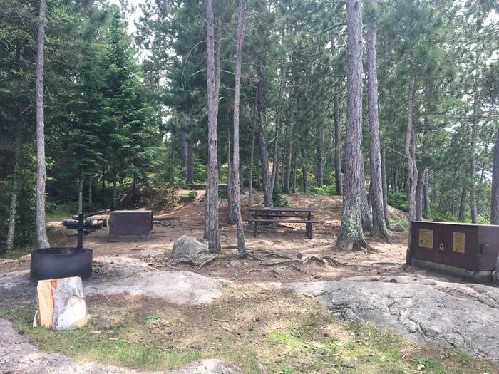 Williams Island North N61 Campsite Picture 2