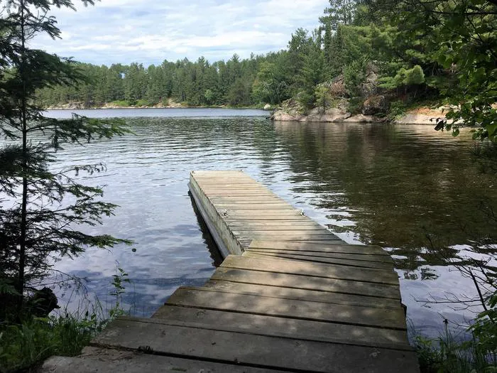 Williams Island North N61 Campsite Picture 1