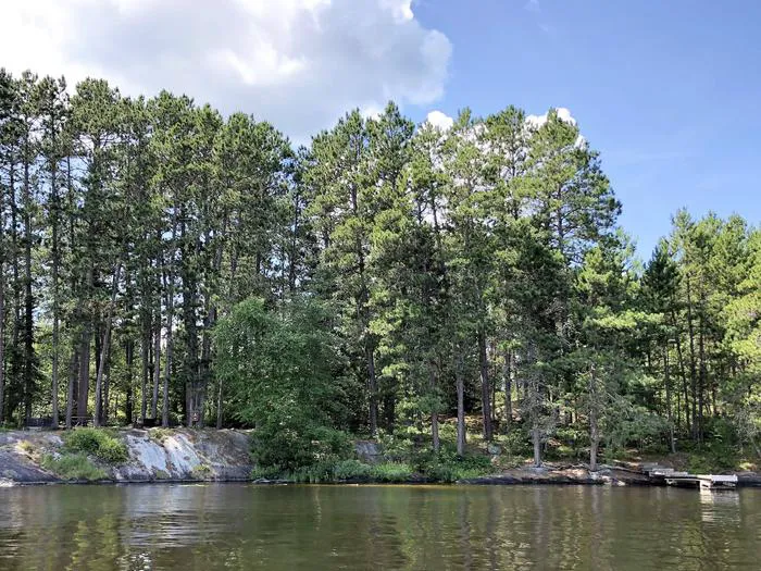 Hoist Bay N12 Campsite Picture 1