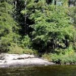 Namakan Island East N27 Campsite