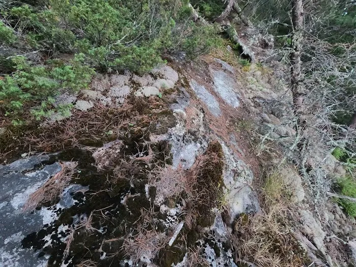 McManus Island N17 Picture 10