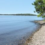 Wolf Pack West N46 Campsite