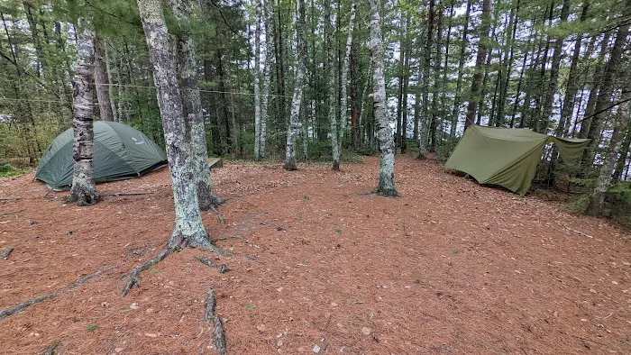 Wolf Pack West N46 Campsite Picture 3