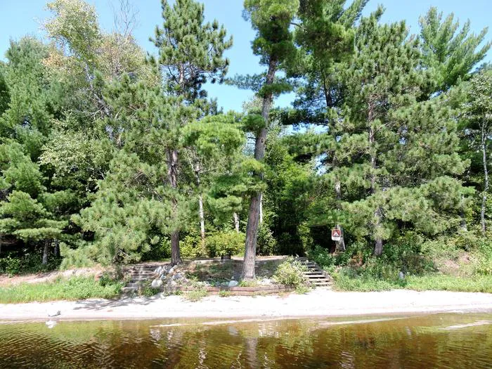 Wolf Pack Central N47 Campsite Picture 3