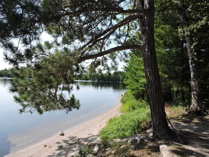 Wolf Pack Central N47 Campsite Picture 6