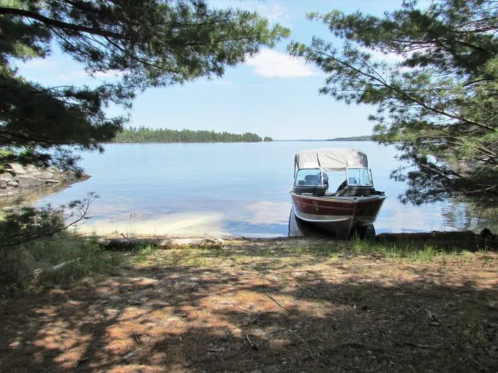 Fox Island N10 Campsite Picture 5
