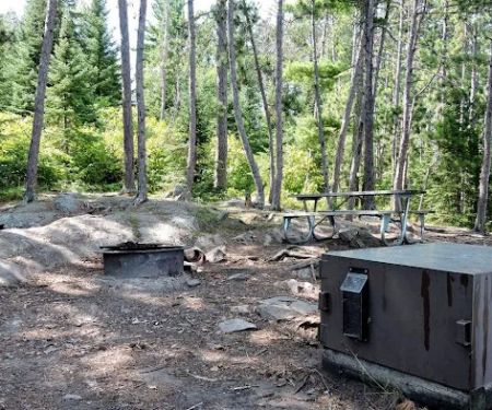Fox Island N10 Campsite