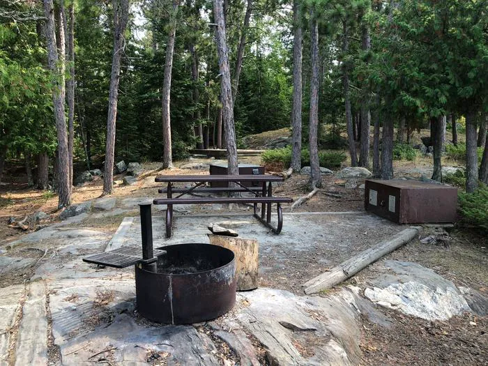 Mica Island N20 Campsite Picture 1