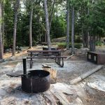 Mica Island N20 Campsite