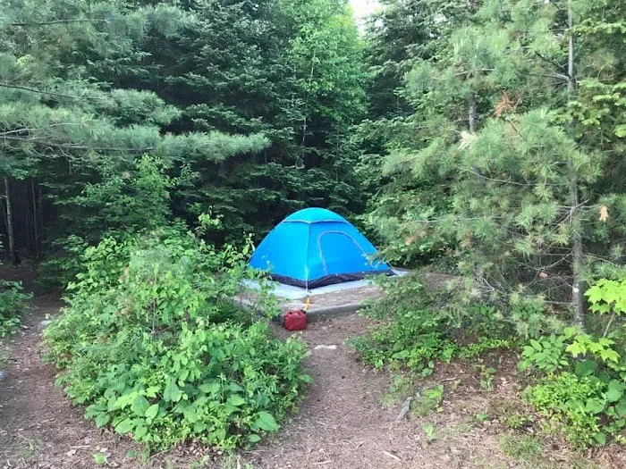 Kettle Portage N16 Campsite Picture 3