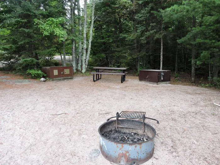 Pike Bay N31 Campsite Picture 4