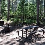 Leach Bay N3 Campsite