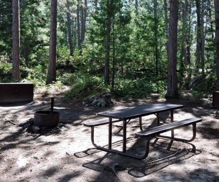 Leach Bay N3 Campsite