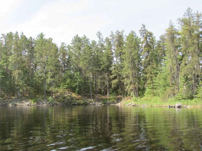 Leach Bay N3 Campsite Picture 7