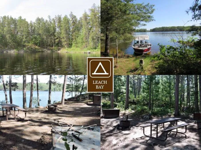 Leach Bay N3 Campsite Picture 2