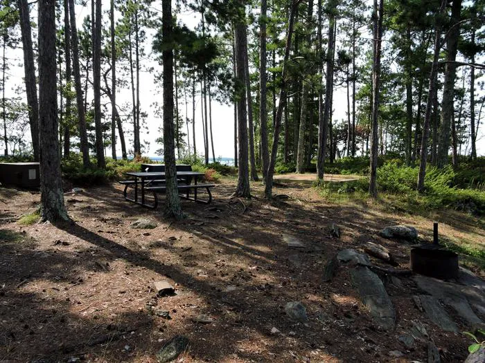 Pat Smith Island N30 Campsite Picture 5