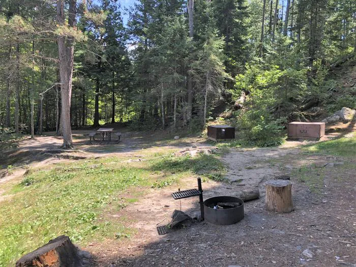 My Island West N25 Campsite Picture 6