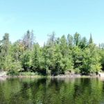 Hammer Bay South N59 Campsite