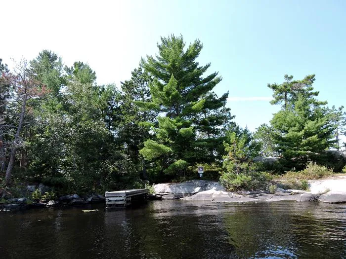 Depthfinder Island N7 Campsite Picture 1