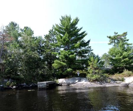 Depthfinder Island N7 Campsite