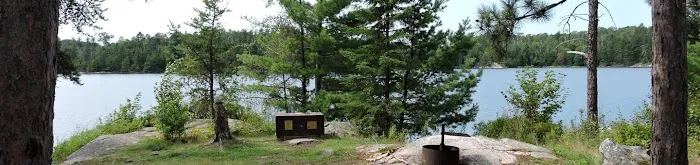 Wolf Island S19 Picture 4