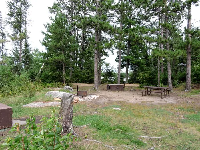 Wolf Island S19 Picture 3