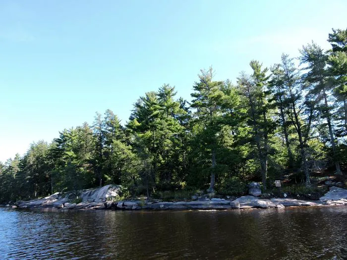 King Pin S10 Campsite Picture 9