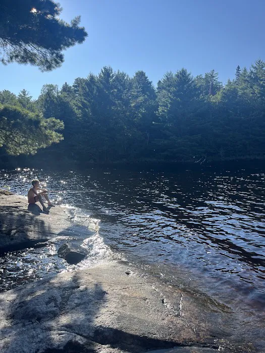 Ingersoll Cove S30 Campsite Picture 1