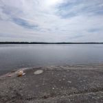 Mukooda Lake S12A-C Campsites