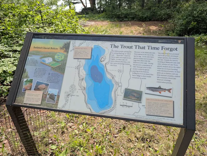 Mukooda Lake S12A-C Campsites Picture 9