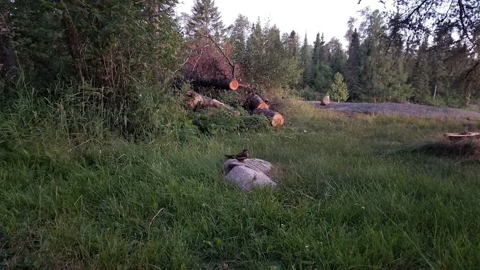 Lake Jeanette Campground & Backcountry Sites Picture 3