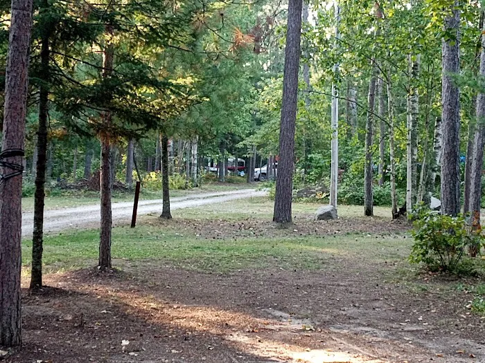 Owen Lake Campground Picture 1