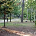 Owen Lake Campground