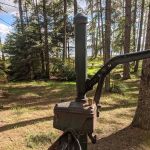 Bear Lake Campground