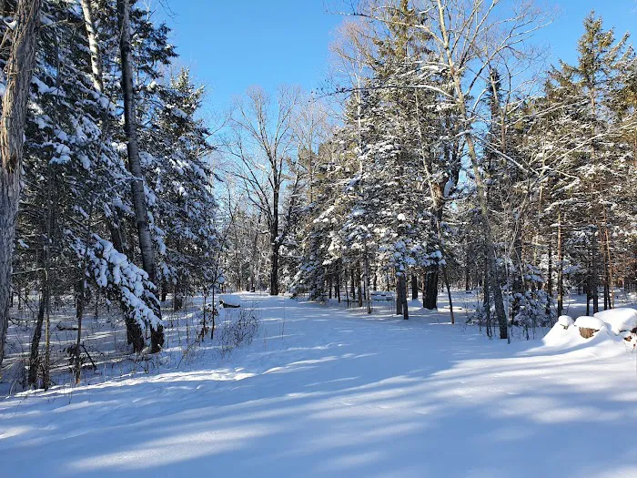 Chase Point Campground Picture 4