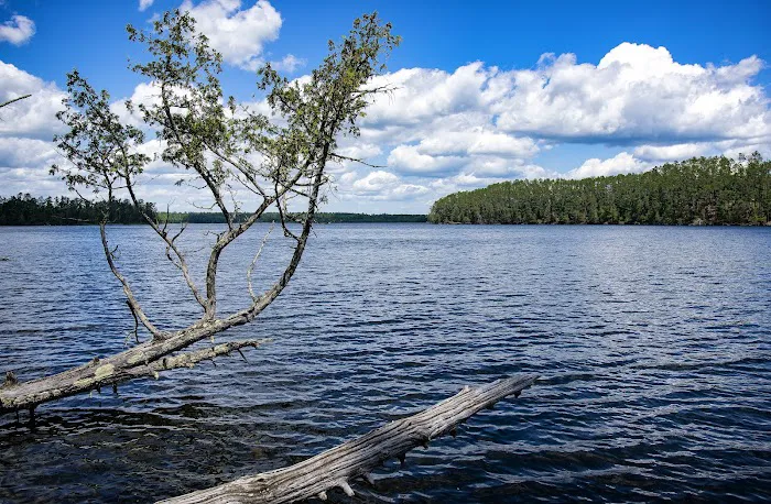 Chase Point Campground Picture 9