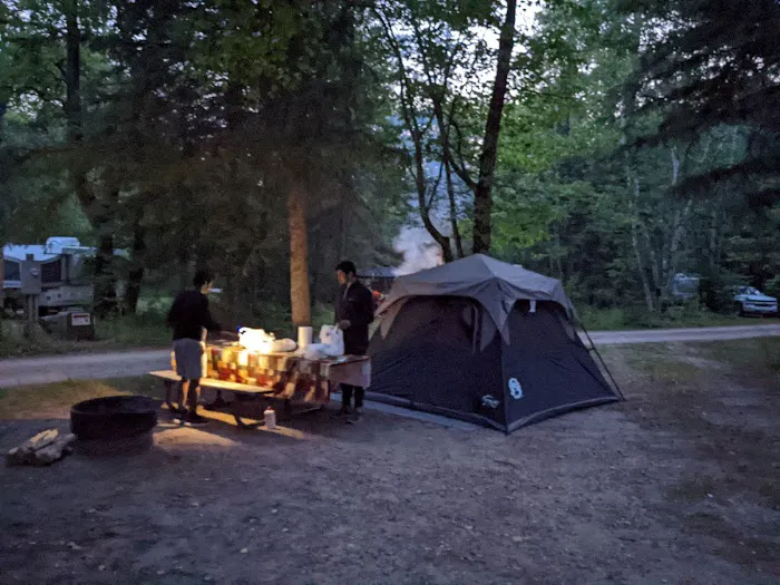 Chase Point Campground Picture 2