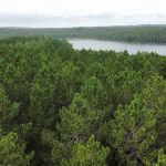 Cottonwood Lake Campground