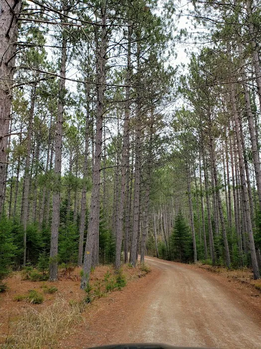 Cottonwood Lake Campground Picture 7