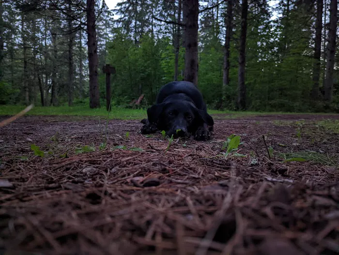 Cottonwood Lake Campground Picture 5