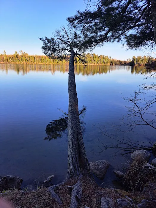 Bass Lake Campground Picture 6