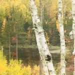 Stony Brook Horse Campground