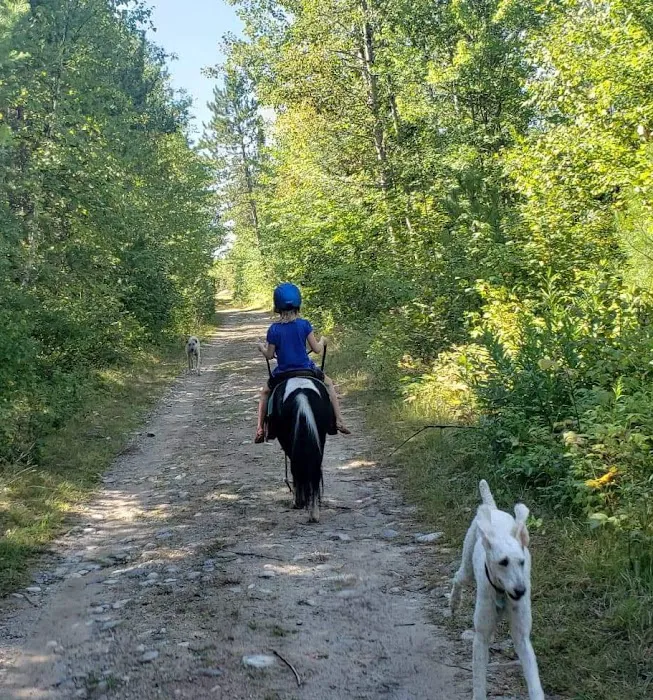 Stony Brook Horse Campground Picture 7