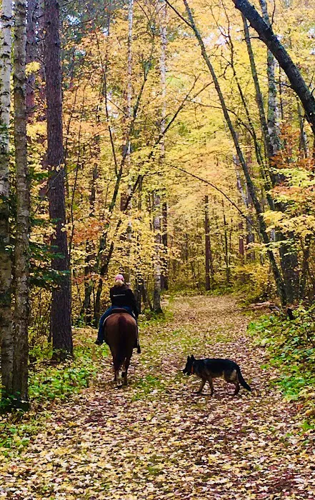 Stony Brook Horse Campground Picture 2