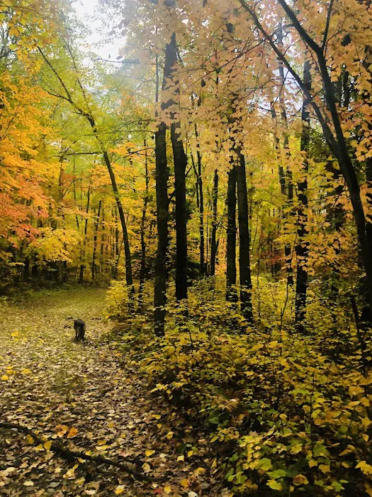Stony Brook Horse Campground Picture 6